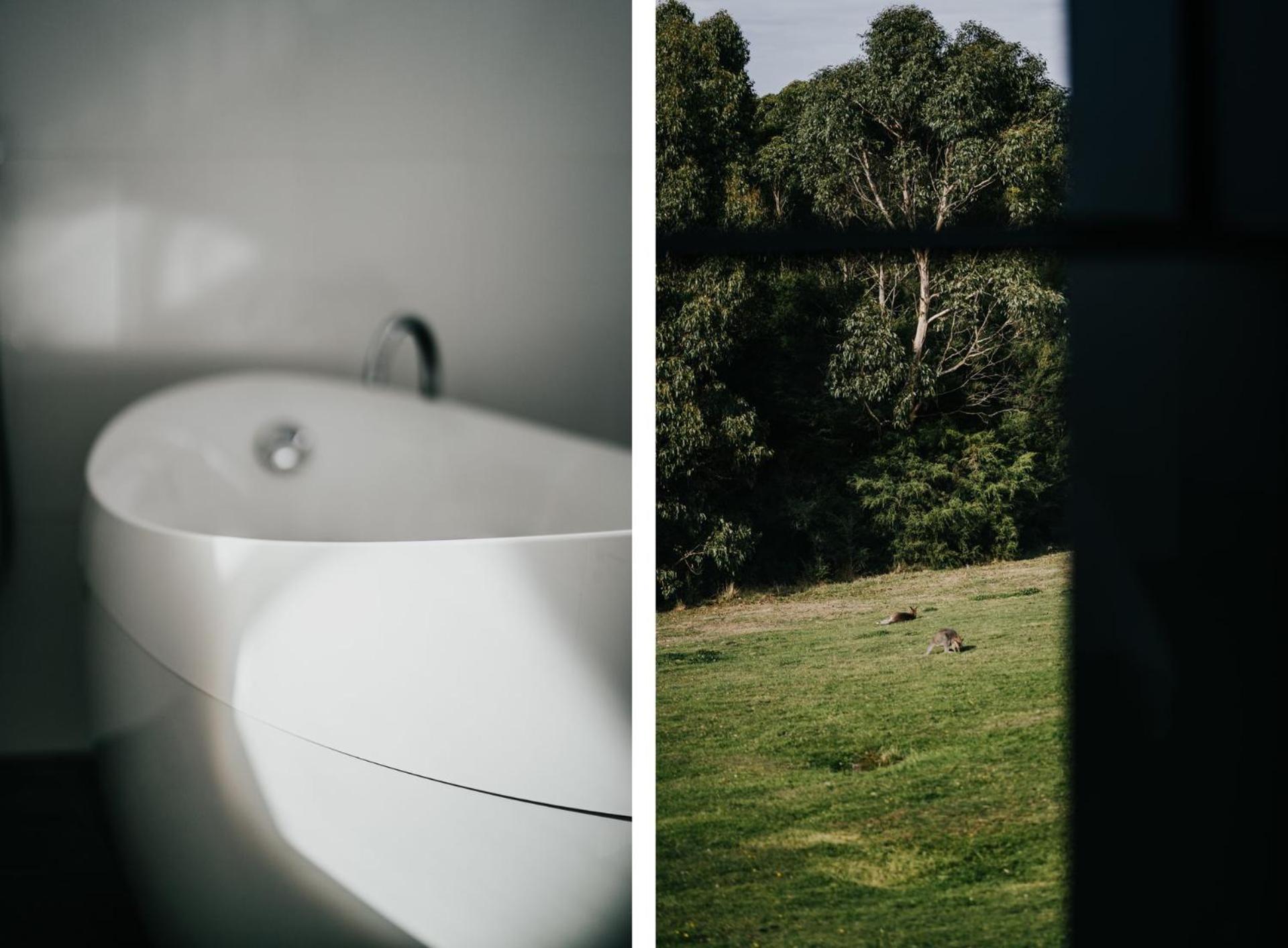 Alkina Lodge Nuru Wattle Hill 외부 사진